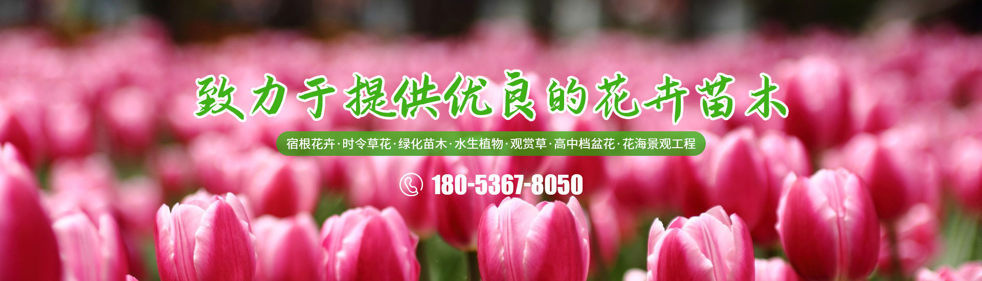 山東順意電器材料有限公司